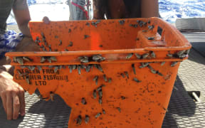 South Pacific garbage patch