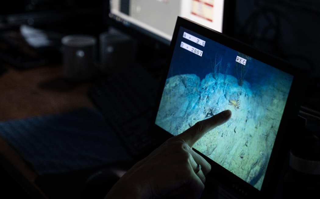 A finger points to a glowing screen, displaying a video feed from the bottom of the ocean. The screen view if blue with rocks visible, and the finger points to a fan-like living thing attached to the rocks.