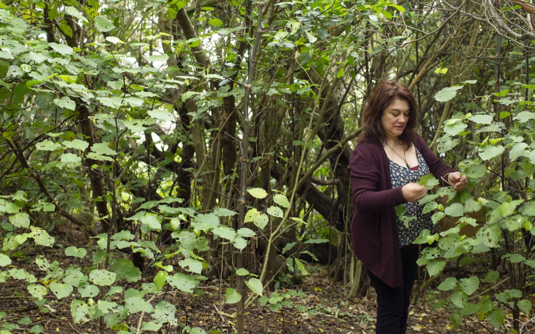 Johanna Knox foraging