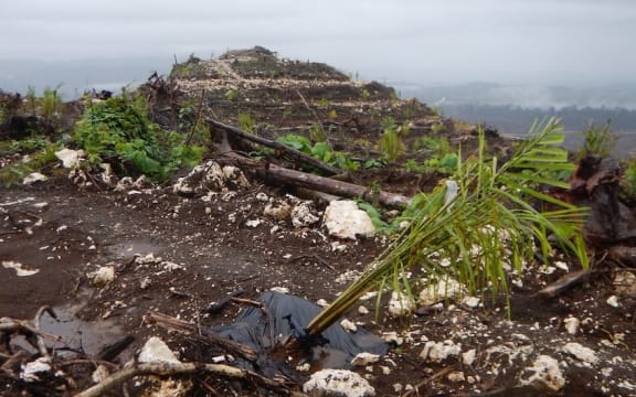 Forest clearance and oil palm plantation in Bairaman, Papua New Guinea.