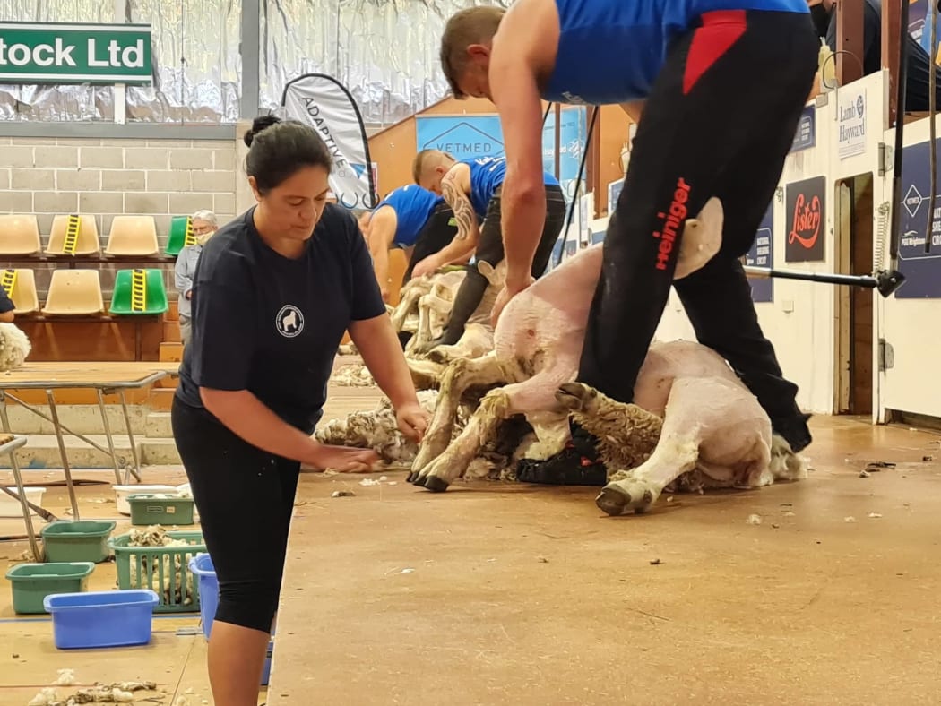 Woolhandling championship