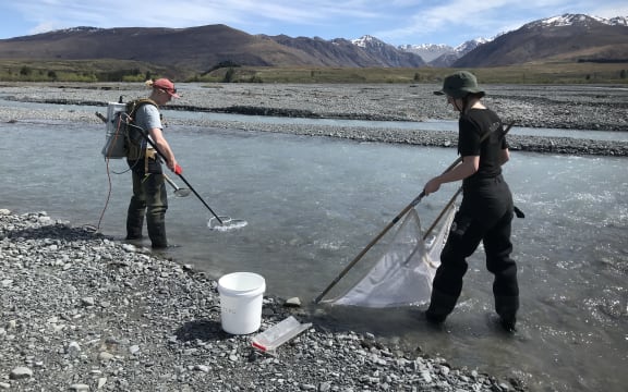 Two women stand in the shallows of a braided river channel. One is holding a device that looks like a handheld metal detector. The other is standing downstream wielding a net attached to two poles. There is a bucket next to the second woman. Beyond the riverbed, there are foothills and snow-capped mountains beneath a cloud-streaked blue sky.