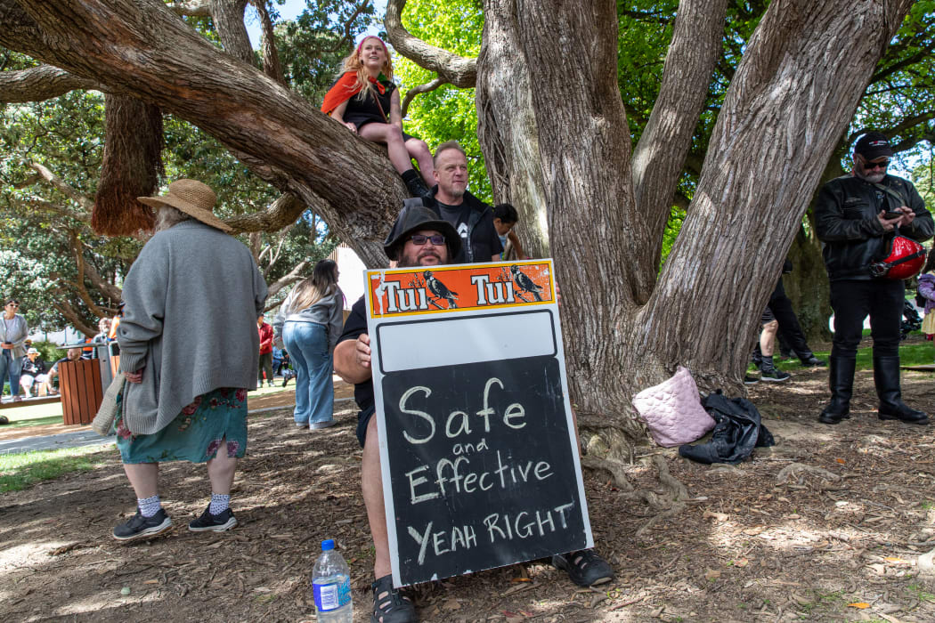 Attendees enjoying the shade of the Royal Pohutakawa, this one was planted by the then Prince of Wales in 1920.