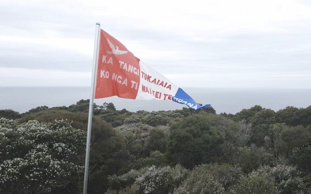 A flag flies from the top of one of the Poor Knights Islands.
