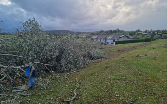 Trees have fallen over in Petra Way, Tasman after a tornado that tore through the upper South Island on 10 April, 2023.