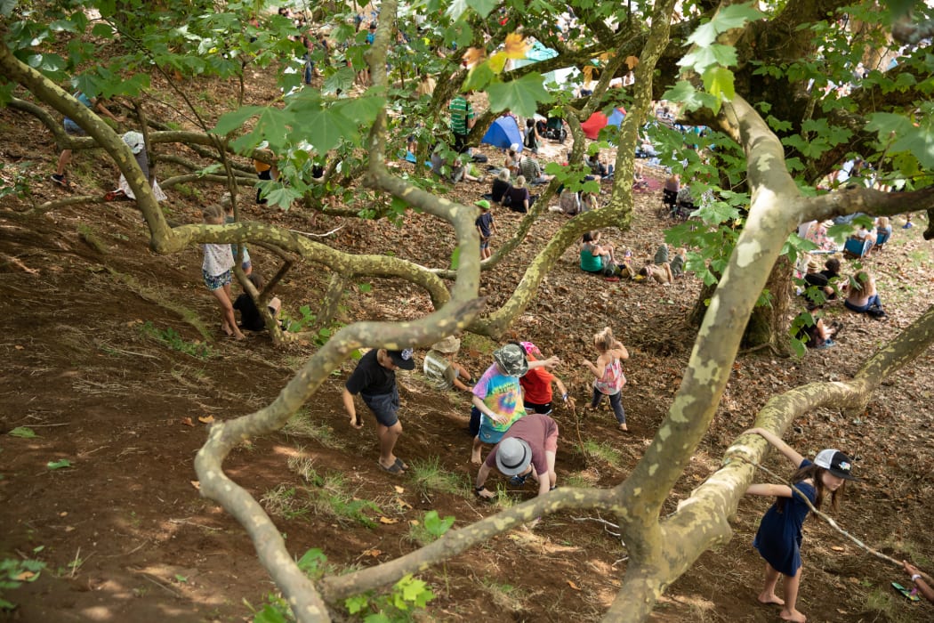The huge liquidambar tree near the main stage is alaways a popular place for the kids of WOMAD to play.