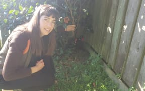 Hannah Mackintosh has seen an increase in native birds after setting up a trap in her backyard.