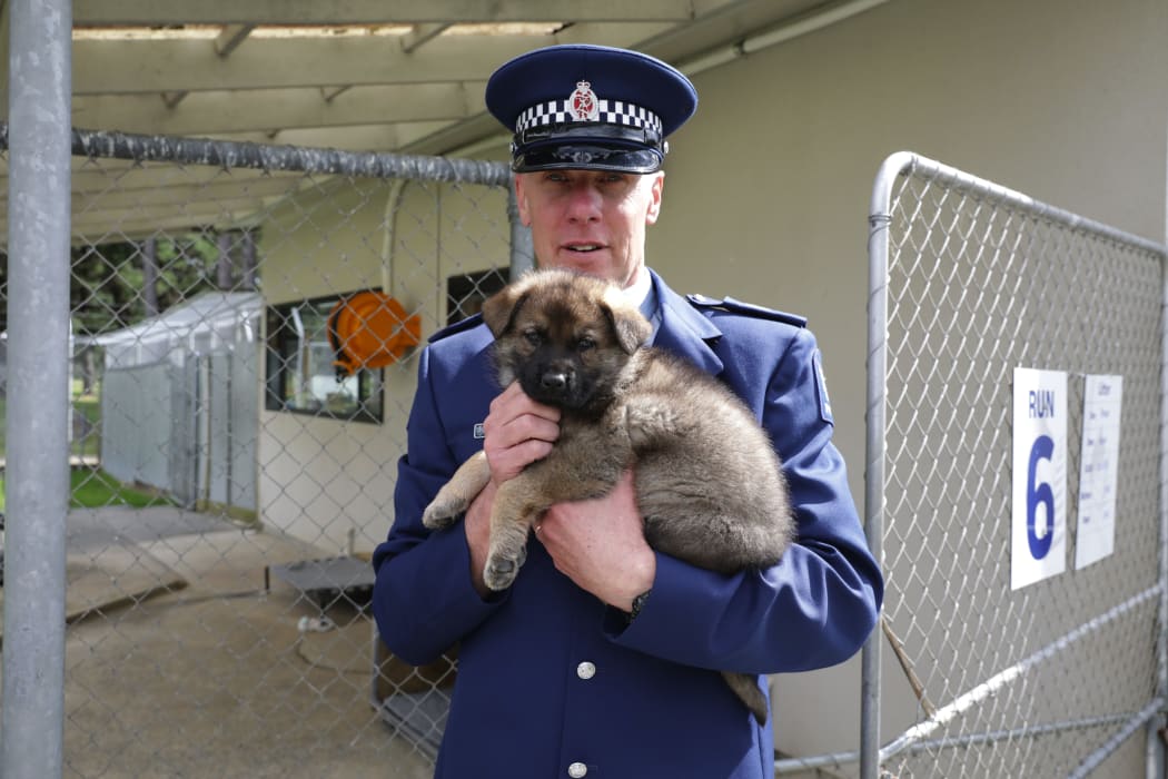 Chris Best, practice leader at the New Zealand dog section, with a potential police pup.
