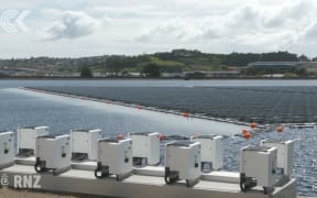 The new floating solar array at Rosedale's waste water treatment pond.