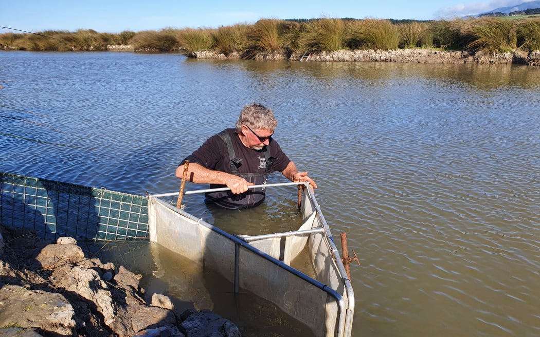 Noel Parker adjusts his net as the tide changes