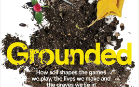 cover image of the book "Grounded" by Alysa Bryce