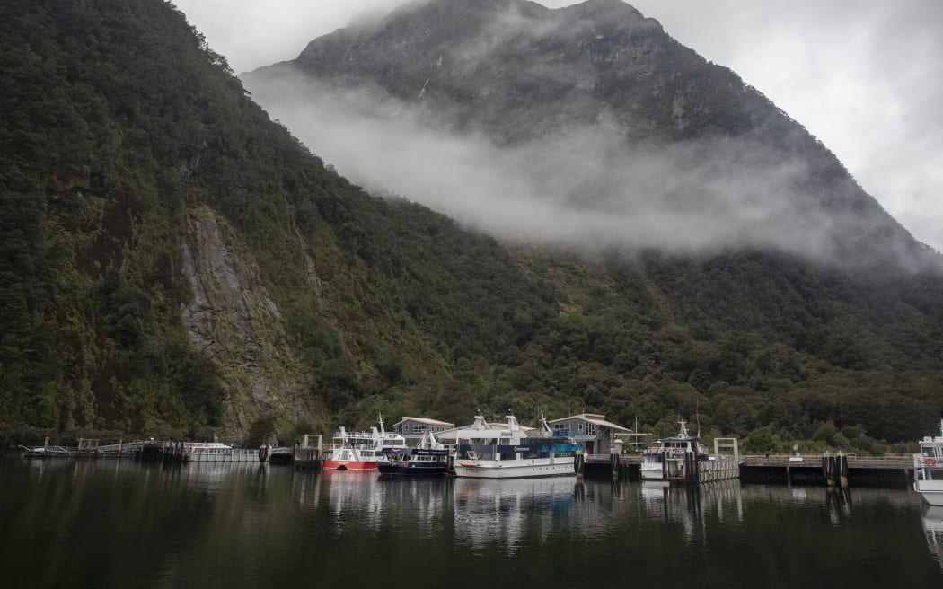 Boats docked at Milford Sound harbour in the southwest of Fiordland National Park, in July 2021.