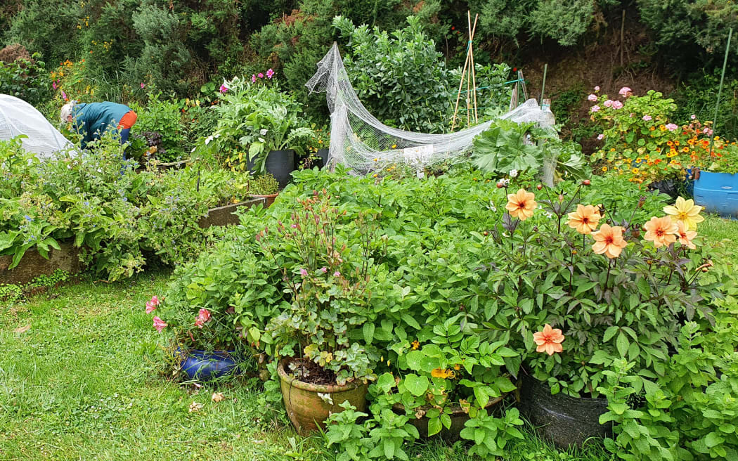 Chris Montgomery working in a vegetable bed at Innermost Gardens.