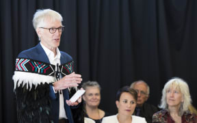 Human Rights Commissioner Paul Hunt