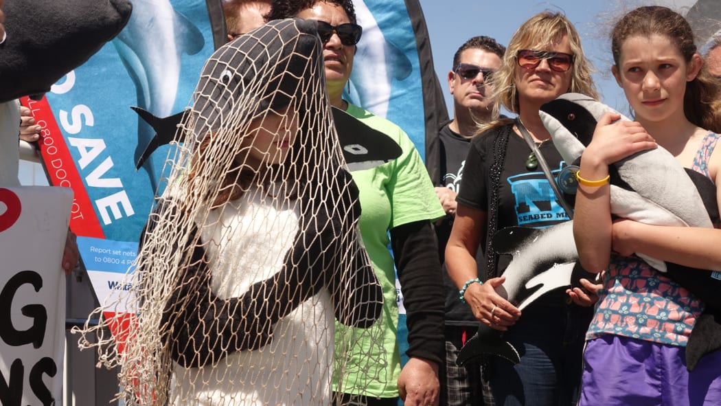 The Maui and Hector's Dolphin Defenders are protesting against gill nets - a type of fishing net used around New Zealand.