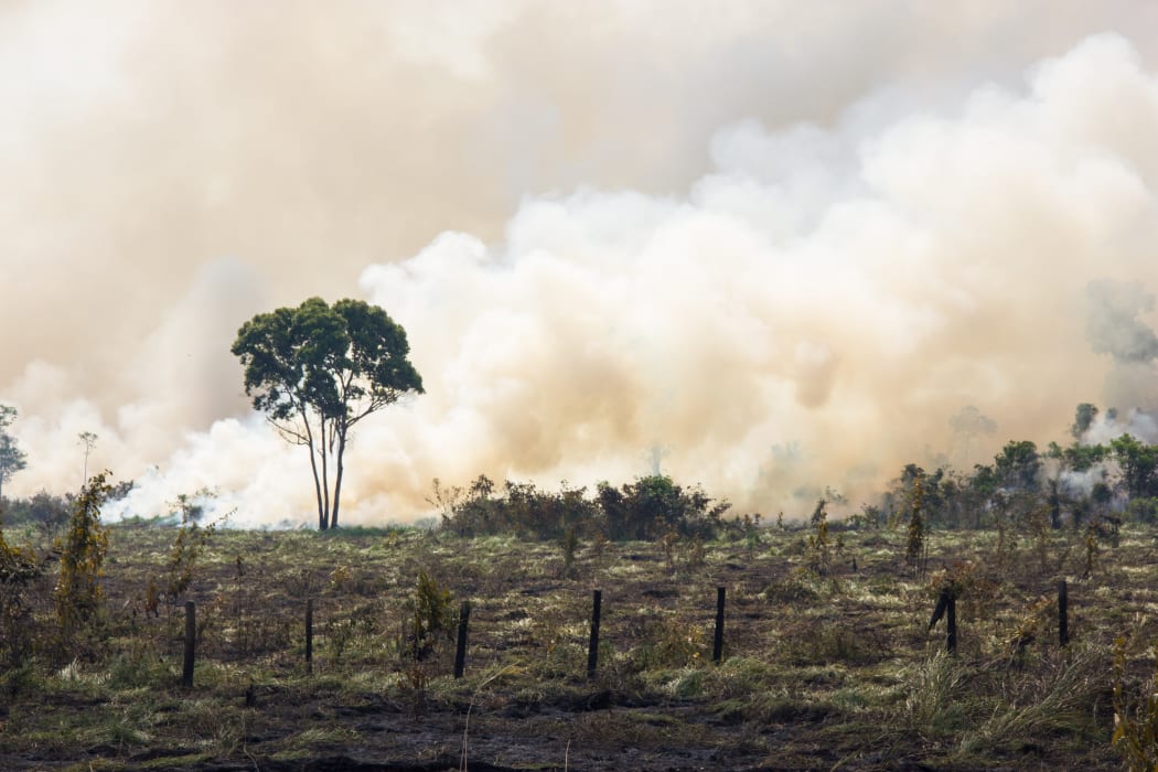 Brazilian Amazon forest burning to open space for pasture.