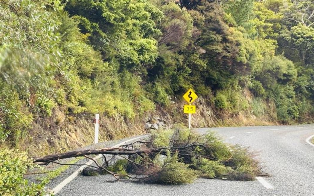 Russell Rd north of Ōakura.