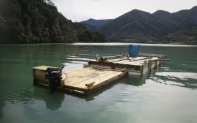 "Homemade" raft or barge in Kaiuma Bay (near Havelock) In the Marlborough Sounds.