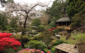 Japanese Garden