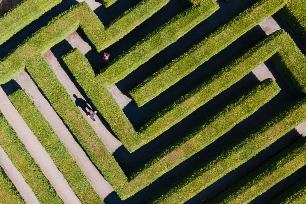 dpatop - 16 August 2022, Saxony, Kleinwelka: Visitors walk in the maze between the evergreen thuja hedge plants. The maze near Bautzen celebrates its 30th anniversary in 2022. (Aerial view with a drone) Photo: Sebastian Kahnert/dpa (Photo by Sebastian Kahnert / DPA / dpa Picture-Alliance via AFP)