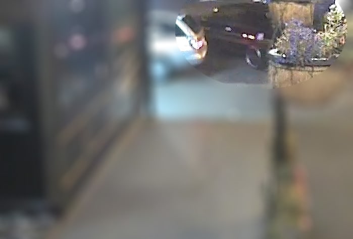 An image released by the police in their appeal for public help.