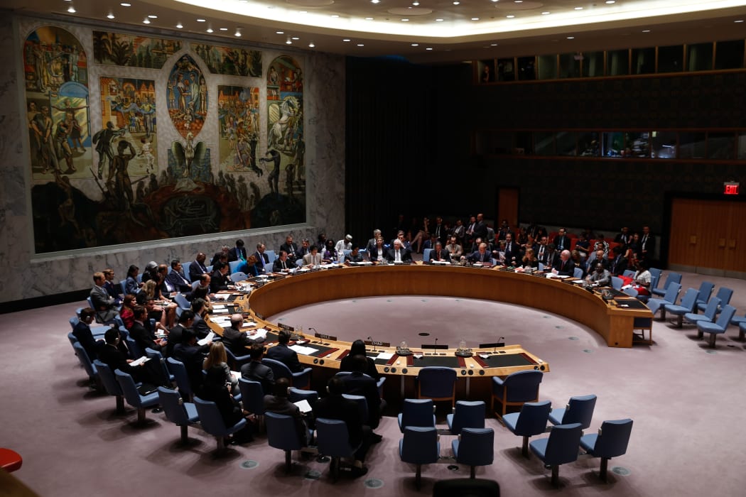 The UN Security Council meeting on 29 July 2015.
