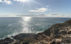 The 39-year-old man was surfing at Point Plomer, near Crescent Head, on Tuesday morning when the shark bit through his board.