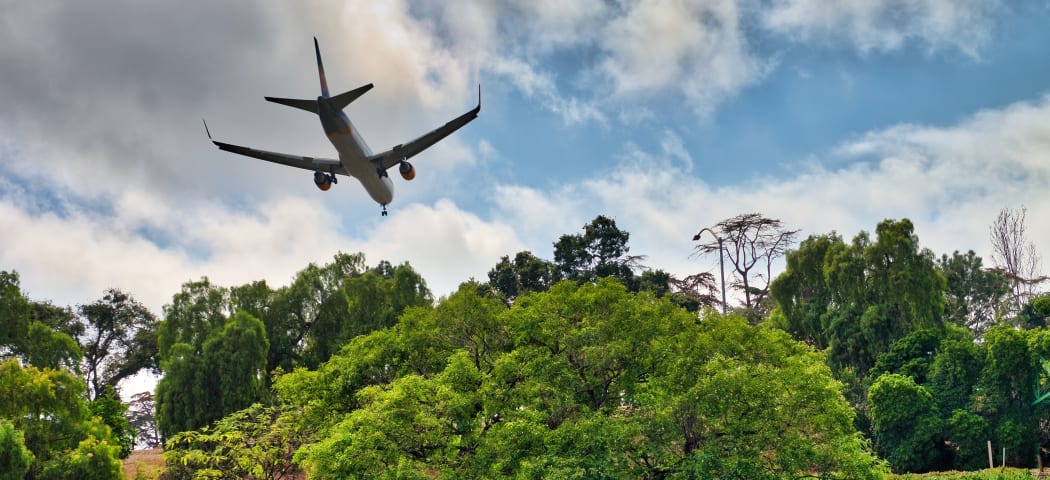 Airplane landing behind trees.