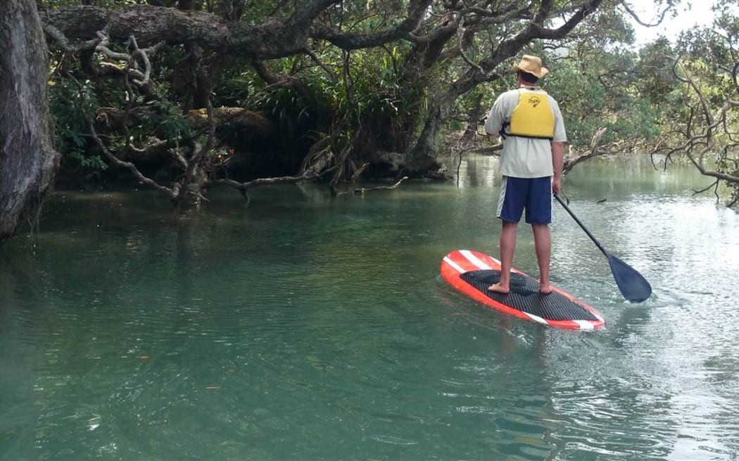 Te Matuku marine reserve at Waiheke Island