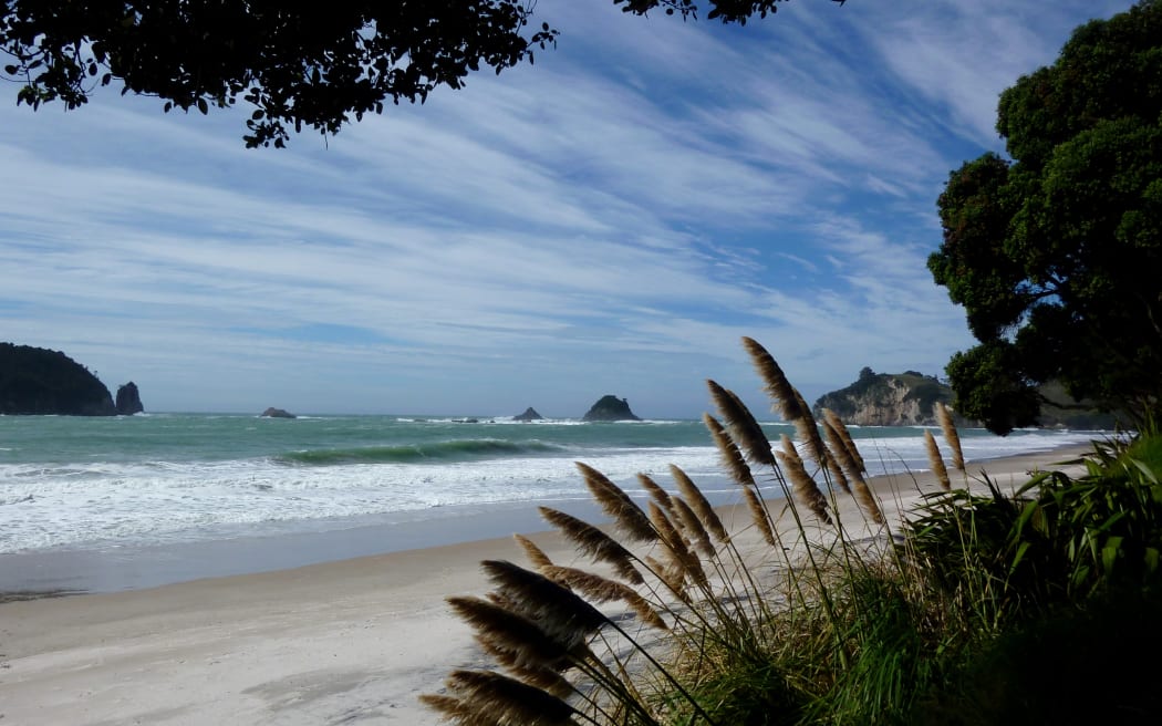 coromandel beach