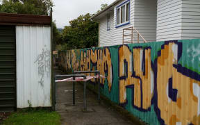 The alleyway connecting Blueberry Grove and Norana Road - where a woman was allegedly shoved against a fence.