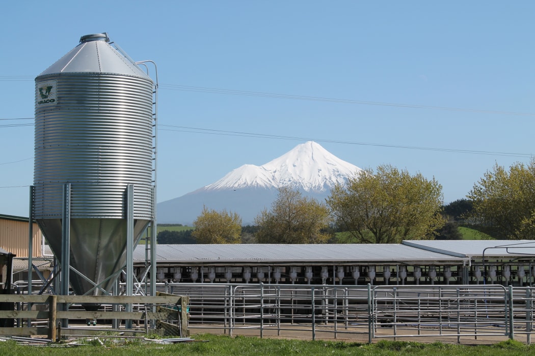 Taranaki Dairy farm