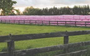 Agpac's pink silage film wrap.