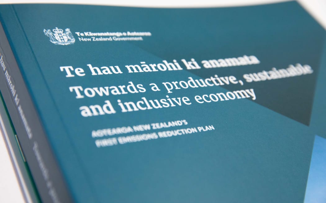 Aotearoa's first nationwide strategy to slash emissions has been released.