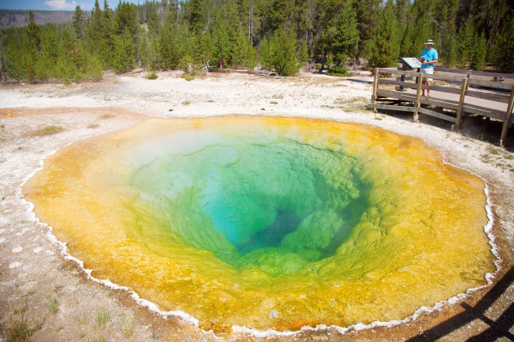 Morning Glory Pool - Yellowstone