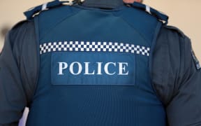 Generic police vest