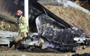 A firefighter and a dog work near the scene where a Jeju Air Boeing 737-800 series aircraft crashed and burst into flames at Muan International Airport in South Jeolla Province, some 288 kilometres southwest of Seoul on December 29, 2024. - A Jeju Air plane carrying 181 people from Thailand to South Korea crashed on arrival, smashing into a barrier and bursting into flames, leaving all but two feared dead.