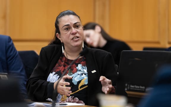 ACT Party MP Karen Chhour in Select Committees during the 2023 Estimates Hearings.