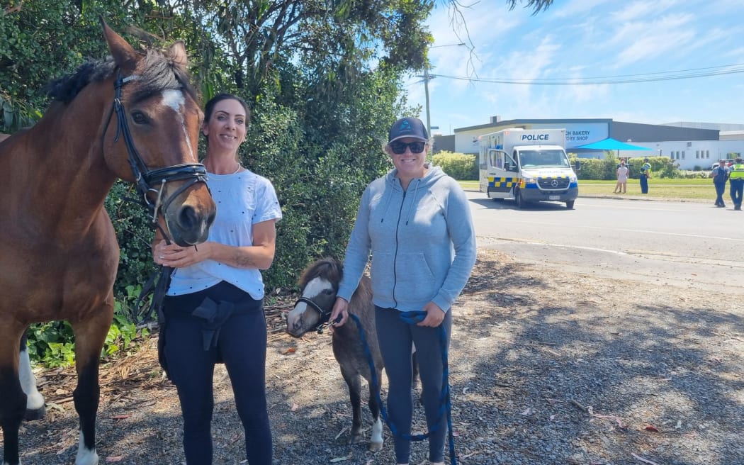 Angela Fitzgibbon has evacuated her horses, Bandy and Splash, from Avoca Valley over concerns about the nearby fire.