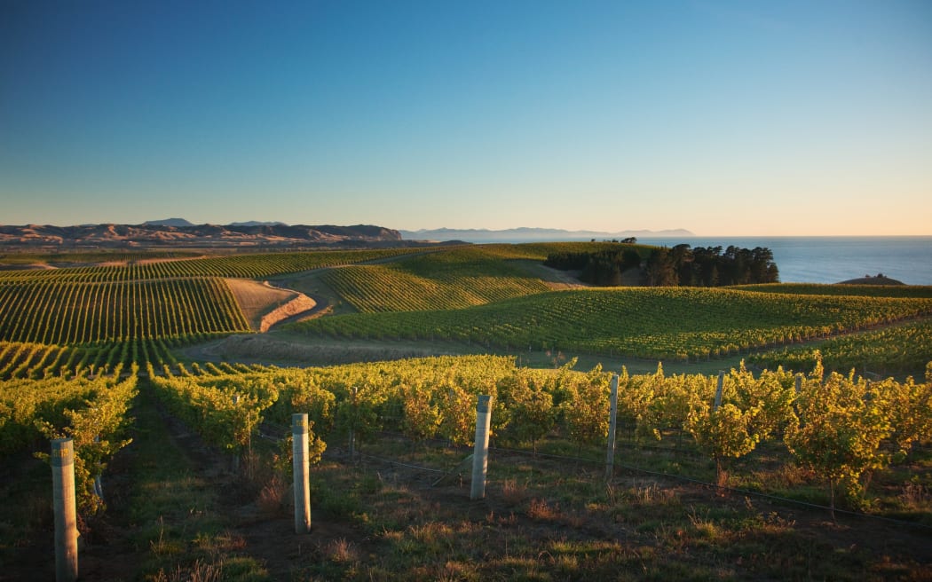 300414. Photo supplied. Yealands Family Wines wins ‘Green Company of the Year’ in leading global sustainability awards.