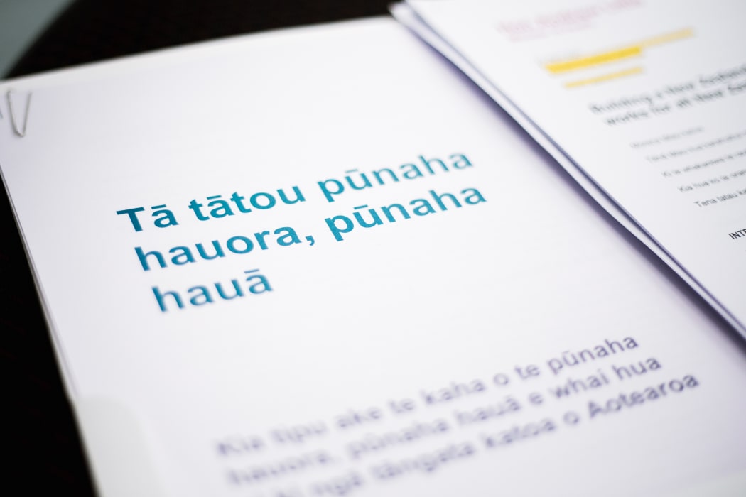 A document setting out the government's restructure of New Zealand's health system.