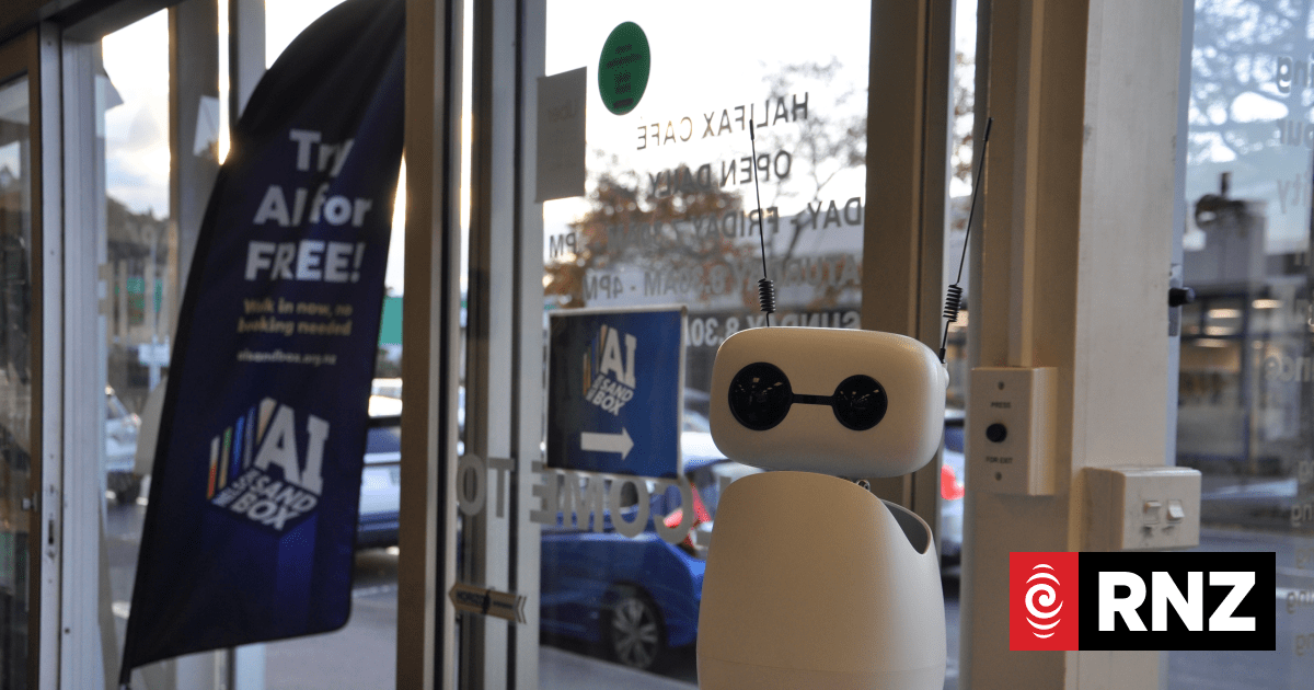 Nelson AI Sandbox opens community AI cafe
