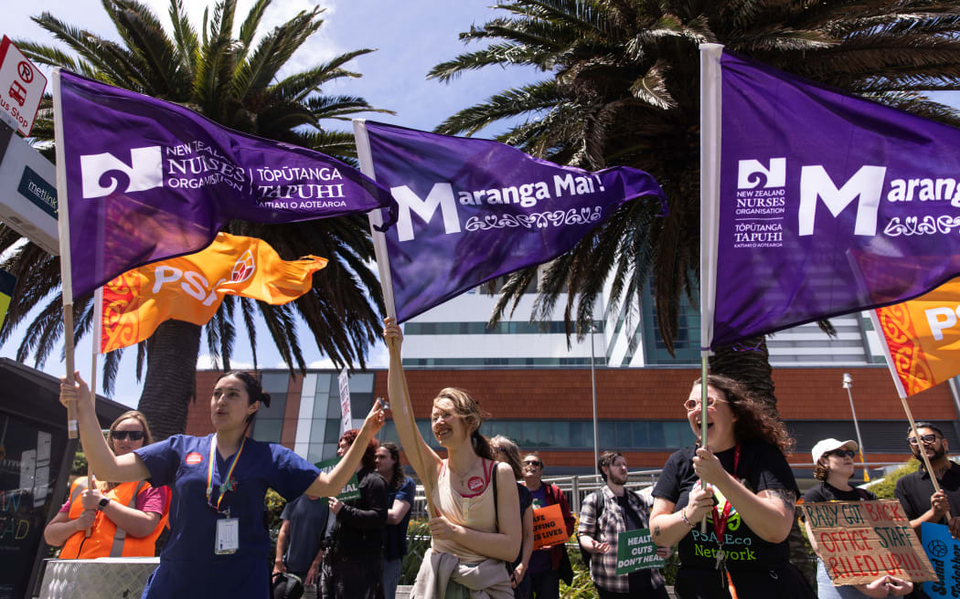 Strike action at Wellington Hospital 28 Nov 2025