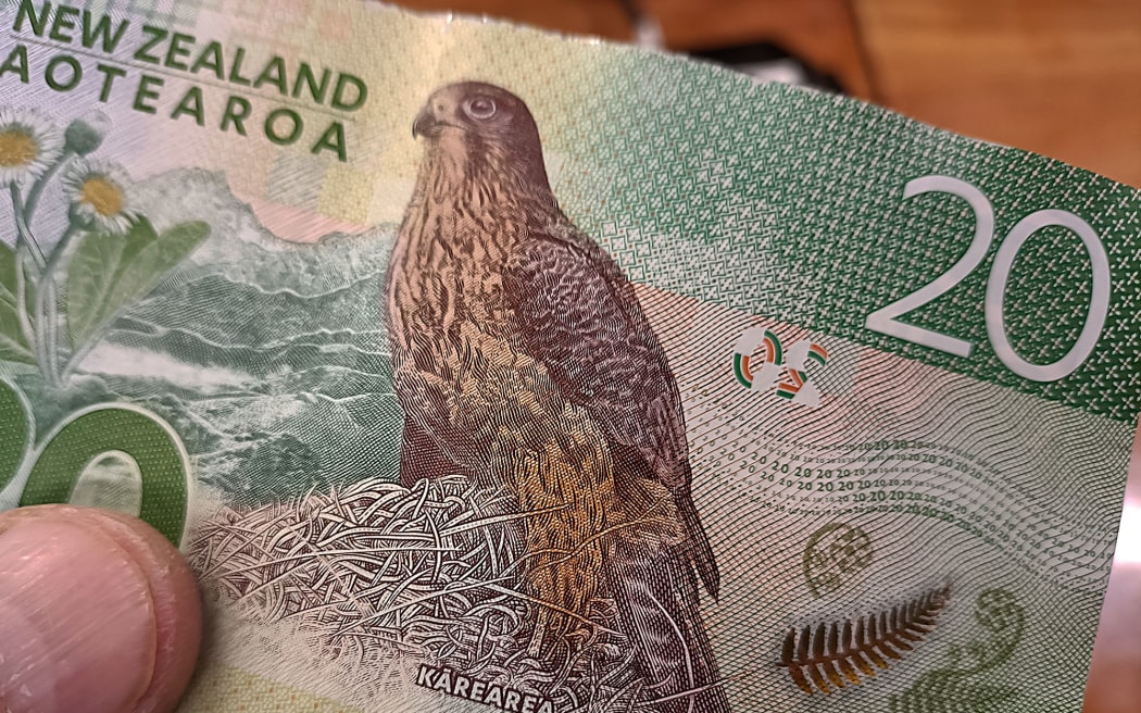 Listeners who voted for karearea, the New Zealand falcon, to be Bird of the Year were on the money