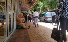 A person dressed as a gorilla begging in Wellington.