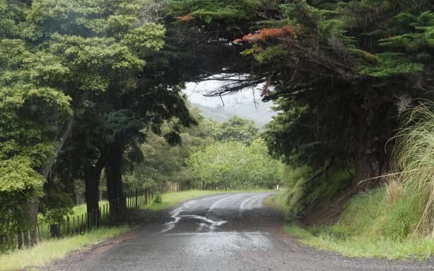 $50k reward still stands over letterbox wine killing of Dave Davan | RNZ