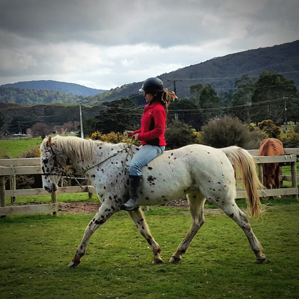 Sarah Thrasher's horse Ice this year.
