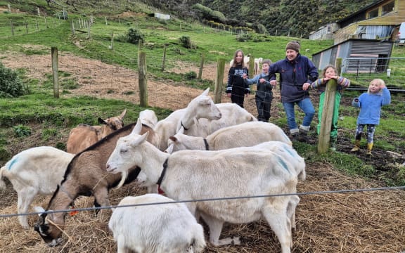 The Steenkamps are often accompanied on-farm by their four human kids.