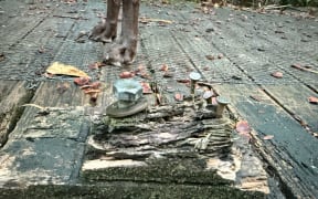 Protuding nails and screws are a common sight on some of the footpaths on Titirangi Rd.