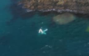 A Picton man has been airlifted to hospital after he crashed his floatplane trying to land near Ketu Bay in the Marlborough Sounds this evening.
